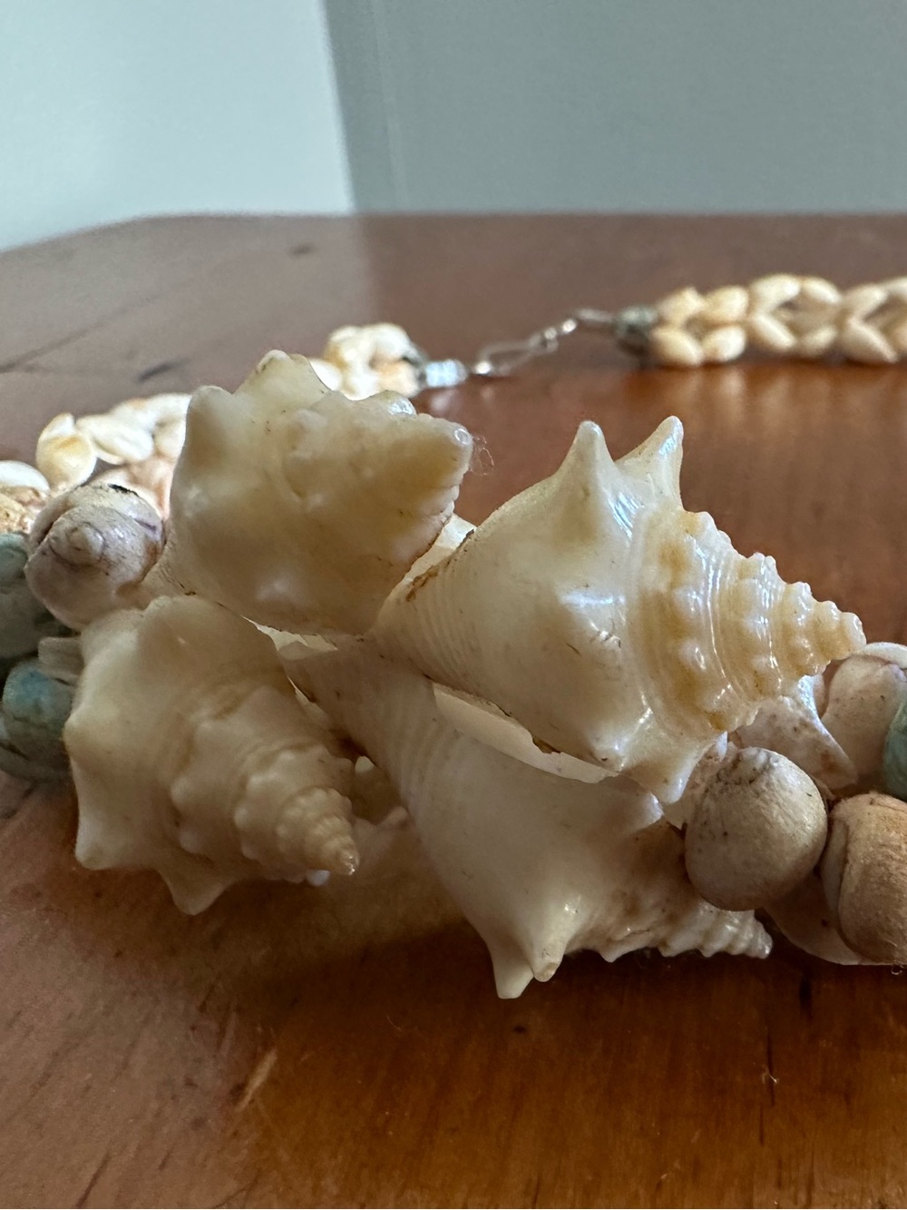 Ocean Washed Shell Necklace - Picture 5 of 13